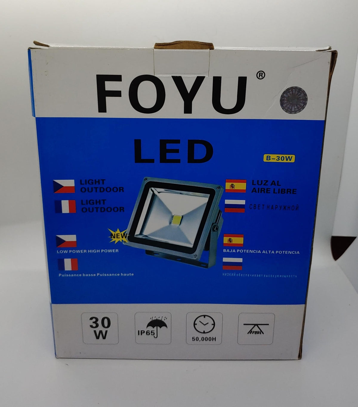 FOYO Lamp Foyu B-30W LED Outdoor Light