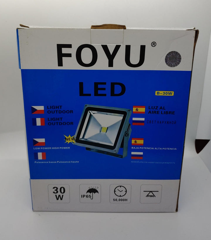 FOYO Lamp Foyu B-30W LED Outdoor Light