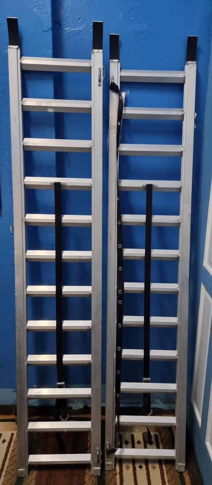 WERNER Ramp Ladder Straight P301CA