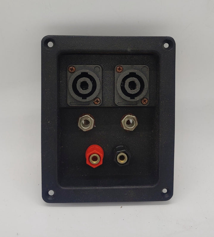 BLASTKING Speaker Terminal Lg Retangle I-ST344 2-BANANA (Screw on) 2-UNIX 2 1/4"