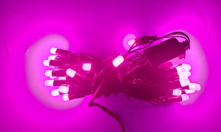 Fairy Light 50 Bulb LED Coloured
