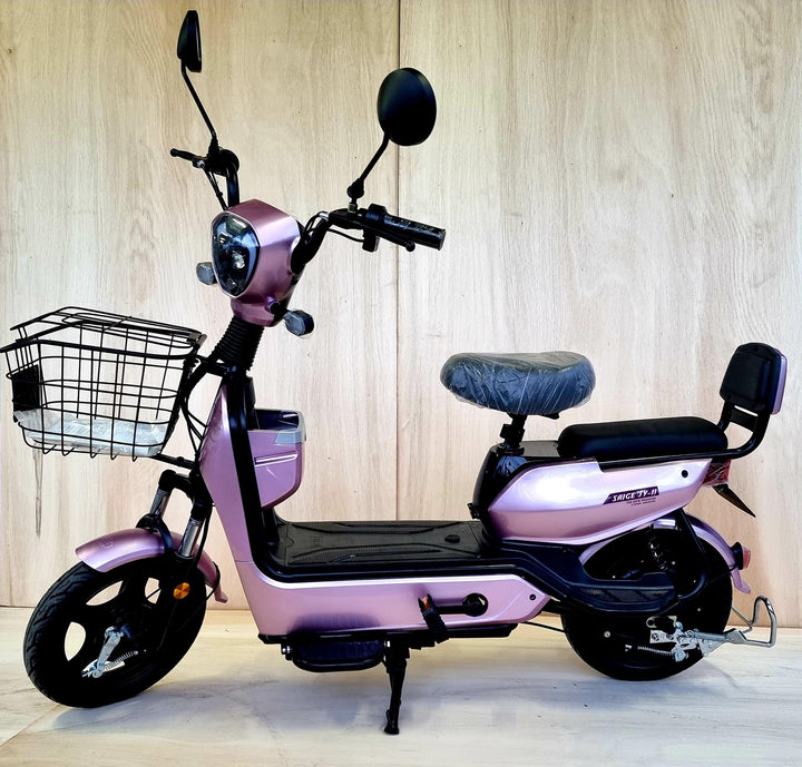 SAIGE Electric Bike Model JY-3 JY-II 12AH Ebike