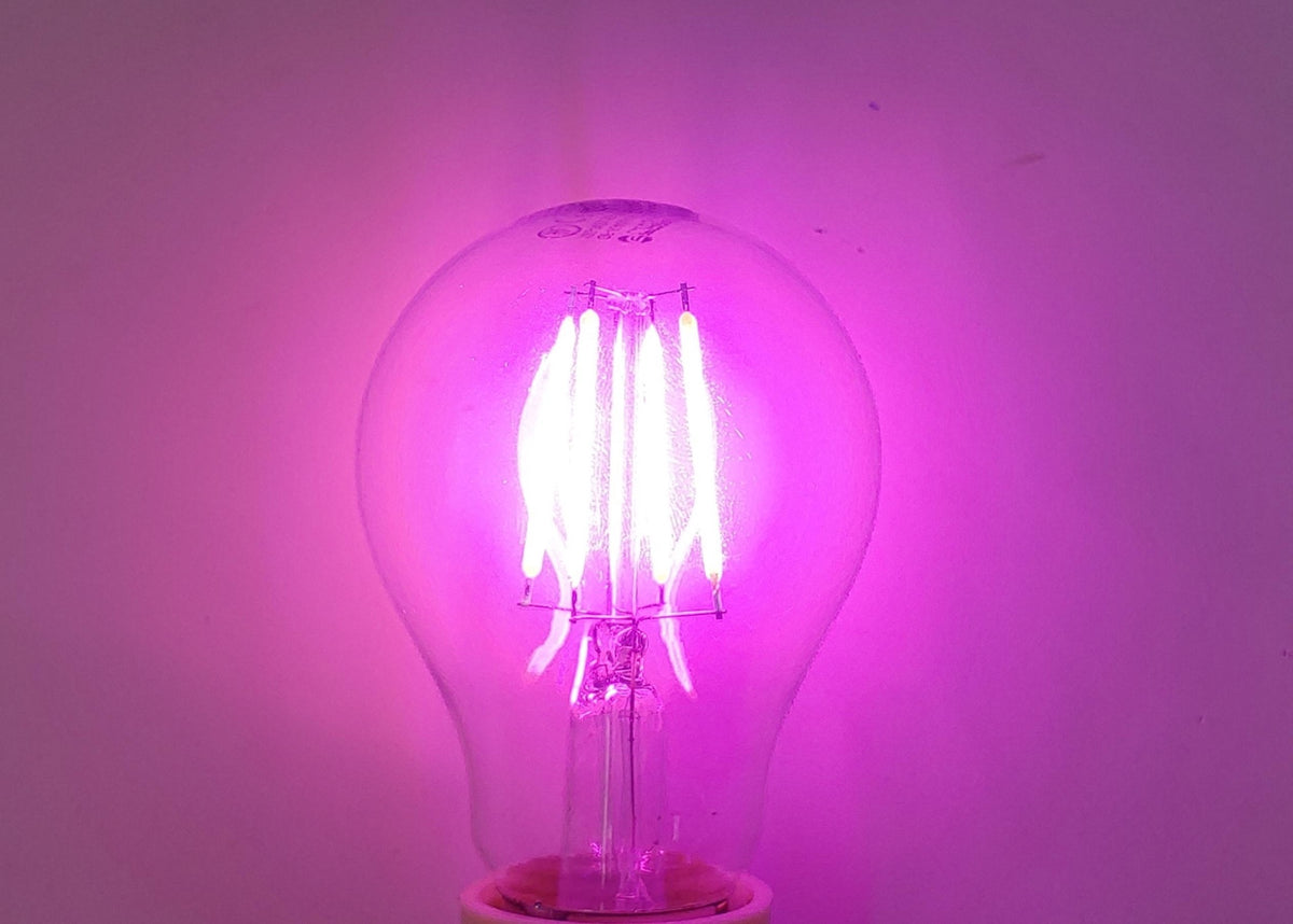 GFORCE Bulb LED Pink 4W