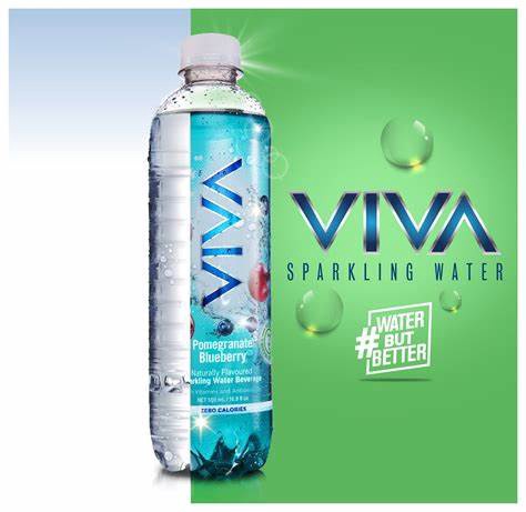 VIVA Pomegranate Blueberry Sparkling Water 16.9FL OZ 500ML