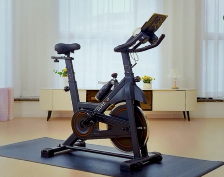 CURSOR FITNESS Gym Exercise Bike Cursor Stationary CBE20