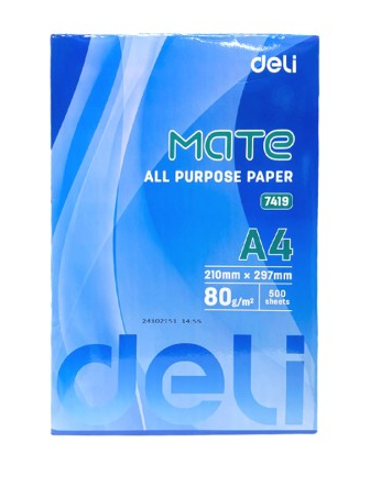DELI Computer Printer Mate Copy Paper A4 7419-1