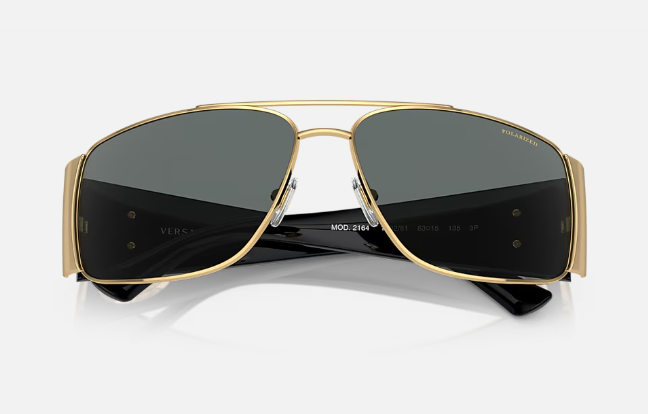 VERSACE Sunglasses OVE2163