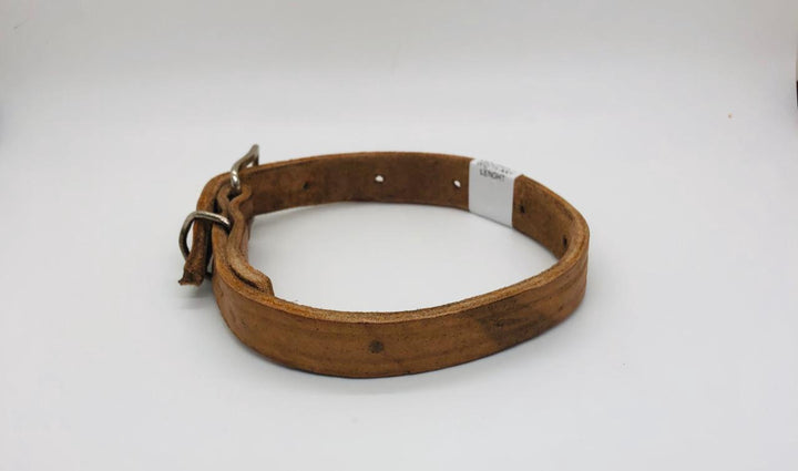 Dog Collar Local Leather 1" Width Any Lenght