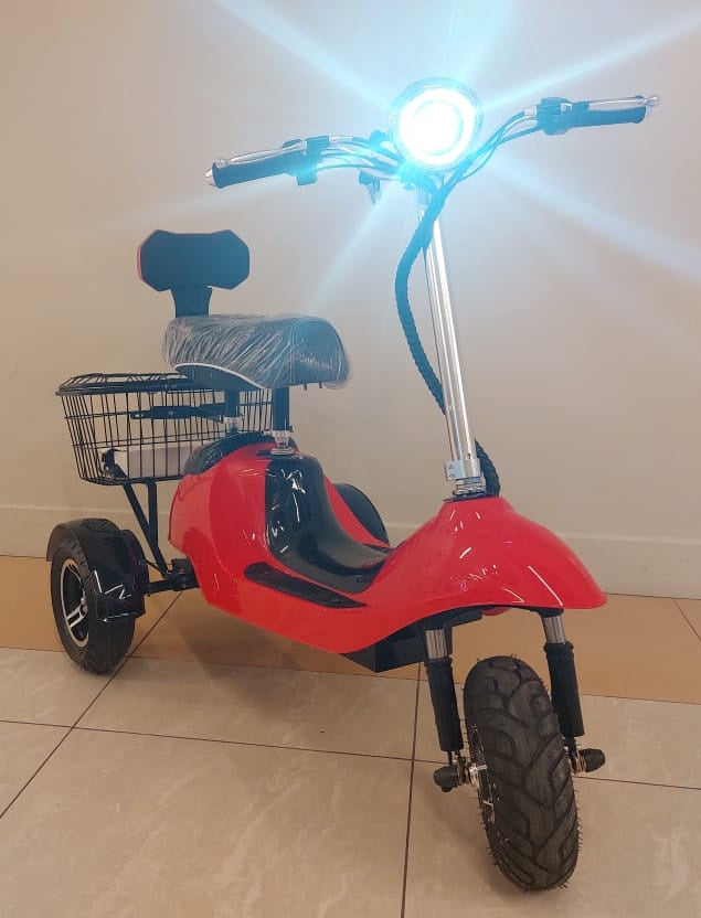 Electric Bike 3-WHEELS
