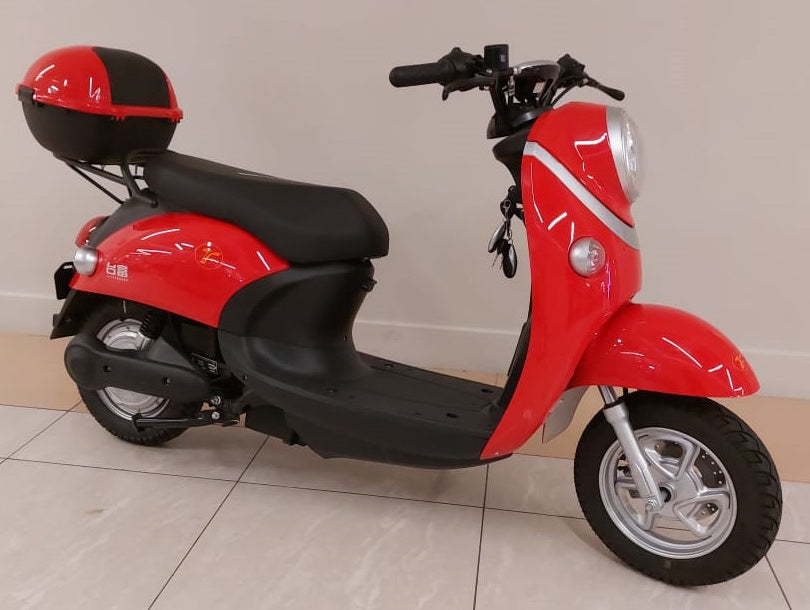 Electric Bike Taisu
