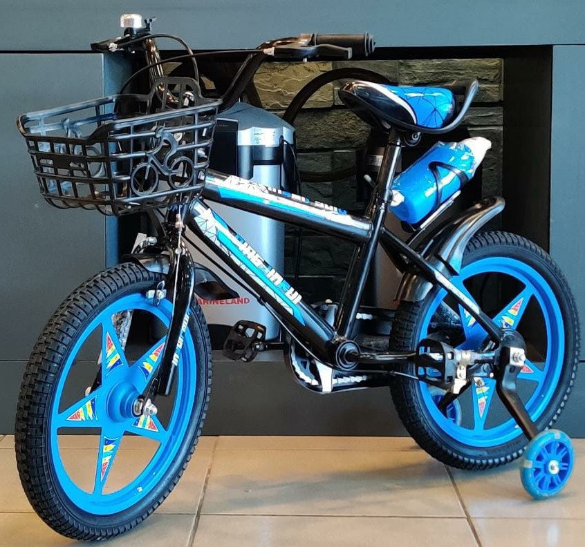 Bicycle 16" YY16 Ding Jiarui