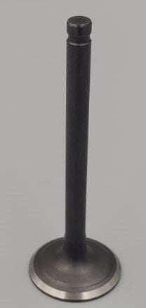 M/CYCLE Exhaust Valve 110