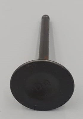M/CYCLE Intake Valve 110