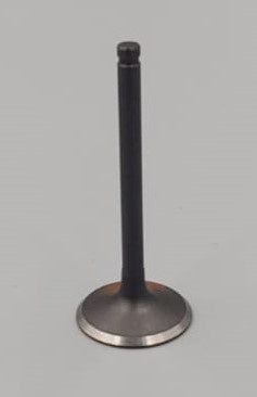 M/CYCLE Intake Valve 110