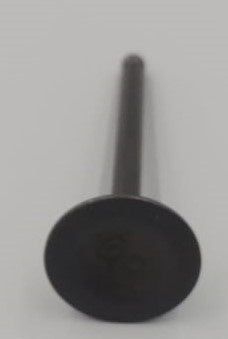 M/CYCLE Exhaust Valve 110