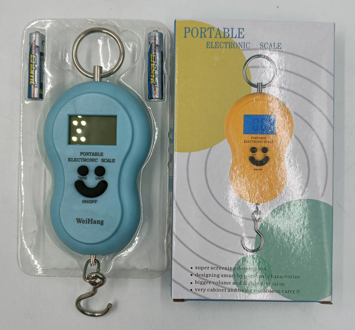 Scale Portable Electric 50KG/10G Weihang