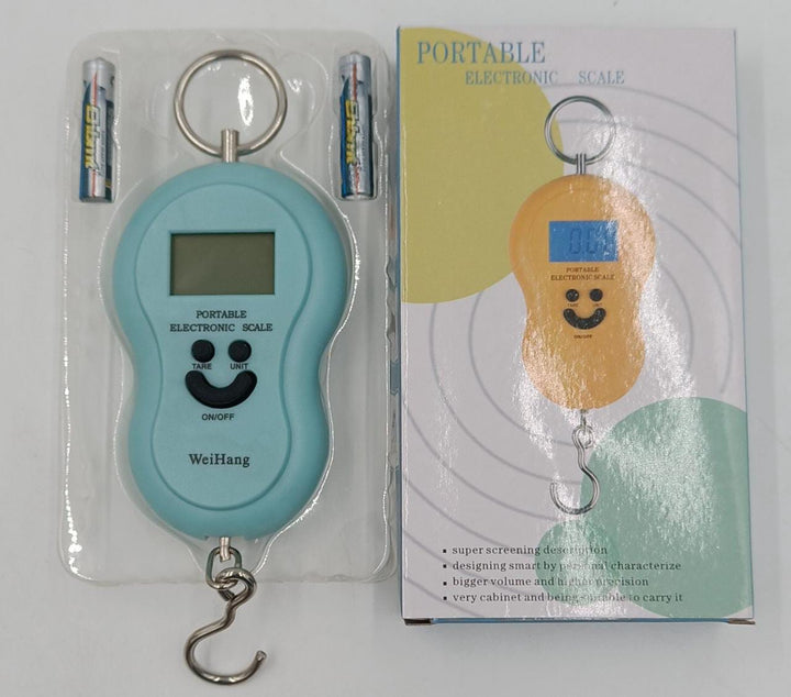 Scale Portable Electric 50KG/10G Weihang