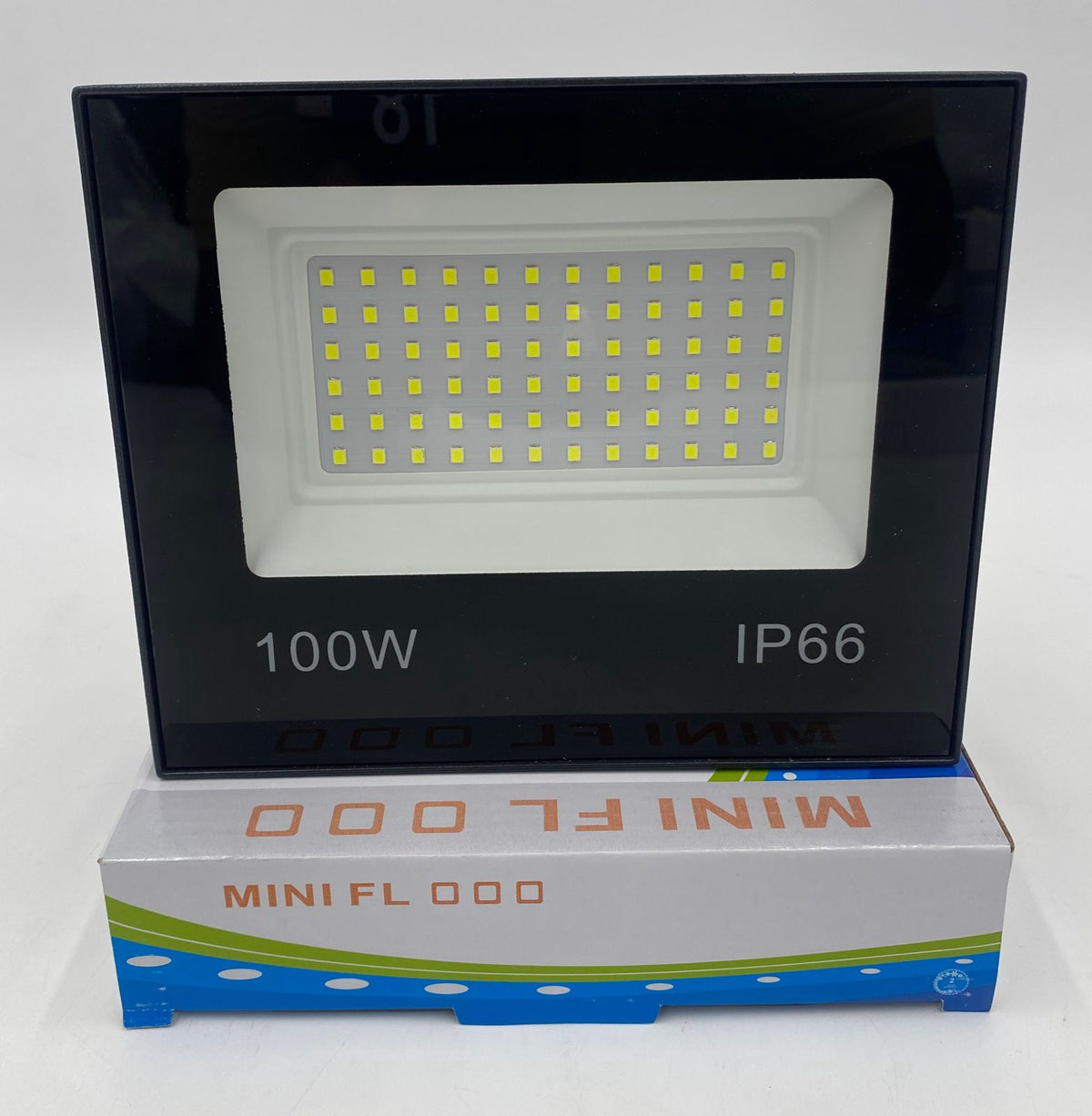 Lamp LED Flood 100W IP66 Mini Flood Flx Series Outdoor Light