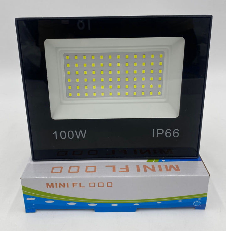 Lamp LED Flood 100W IP66 Mini Flood Flx Series Outdoor Light