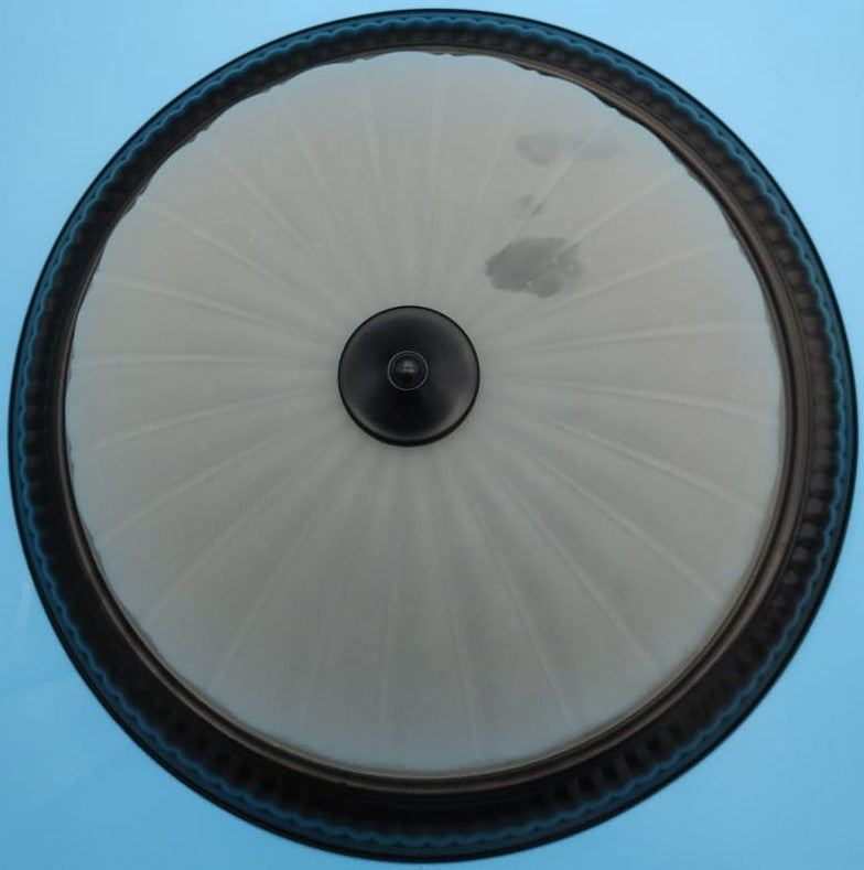 Light Fixture Ceiling 2026-4XL Bk 20" 4-BULBS Black