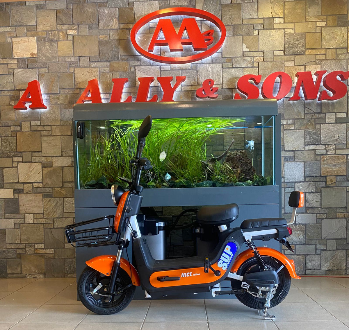 Electric Bike Sup Nice Bike with Mirror and Turn Signal