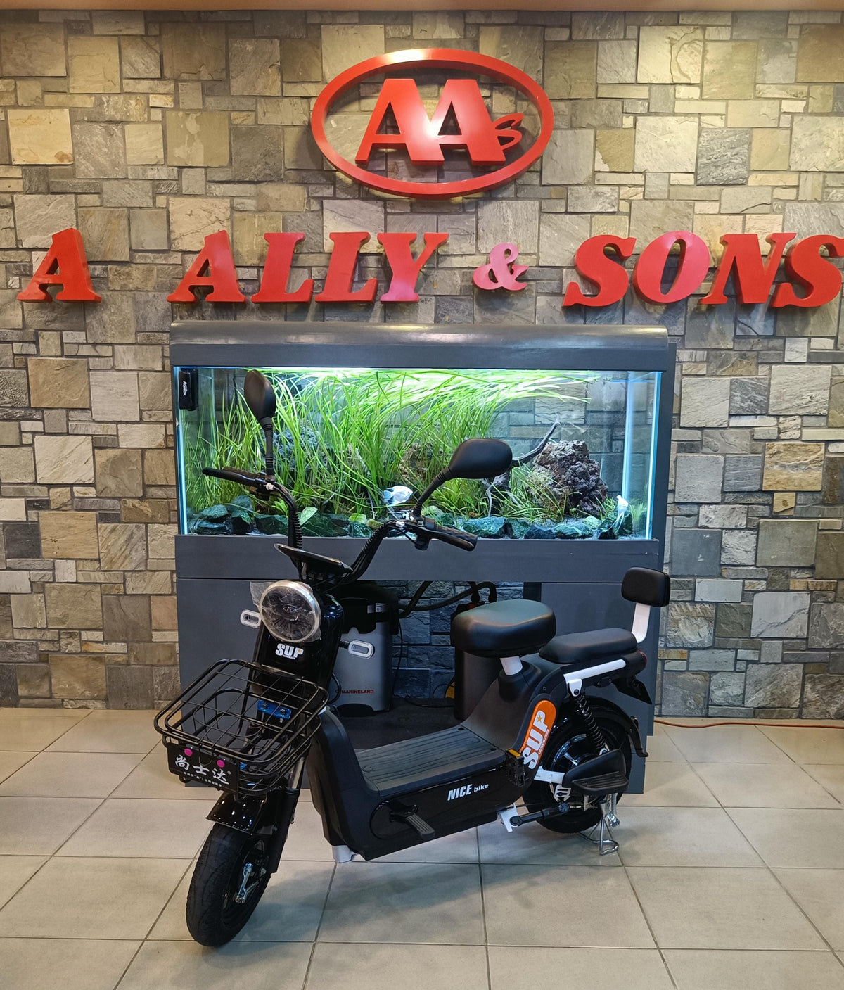 Electric Bike Sup Nice Bike with Mirror and Turn Signal