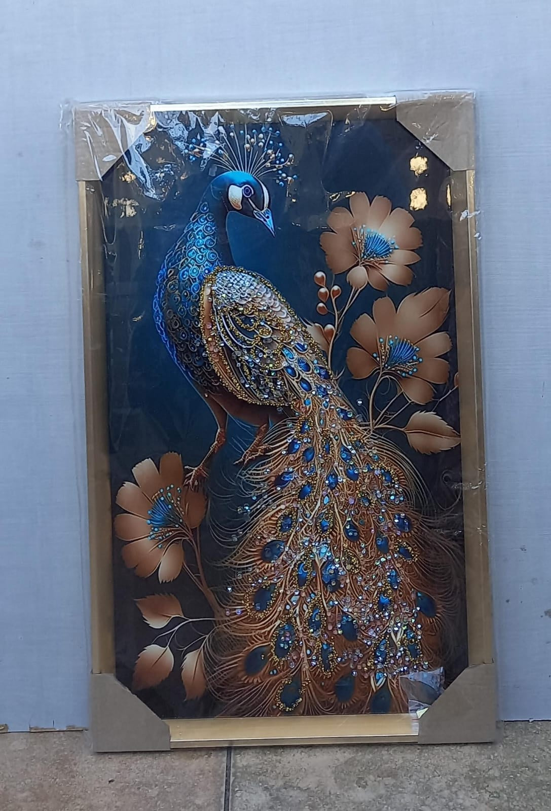 Picture Frame Y37 HK-454 30X50