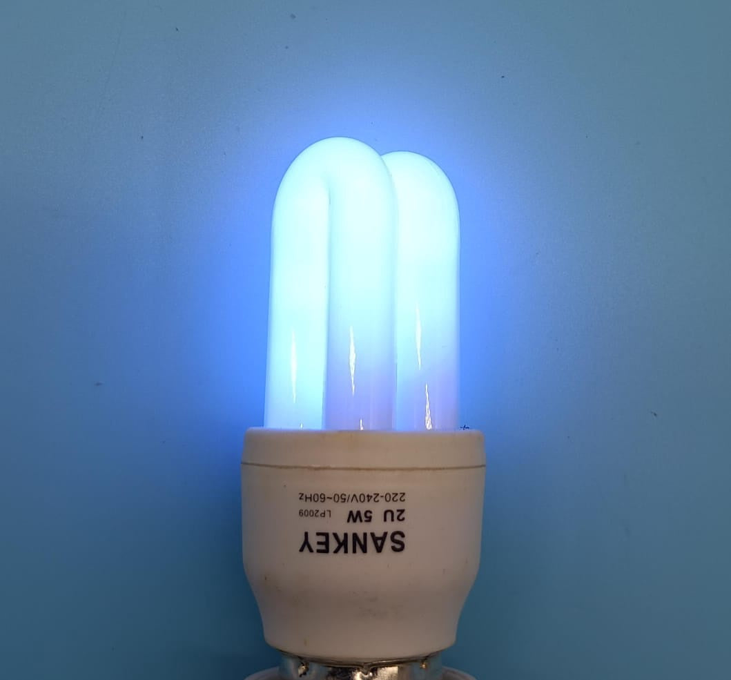 SANKEY Bulb Energy 110V 5W 2U Colored