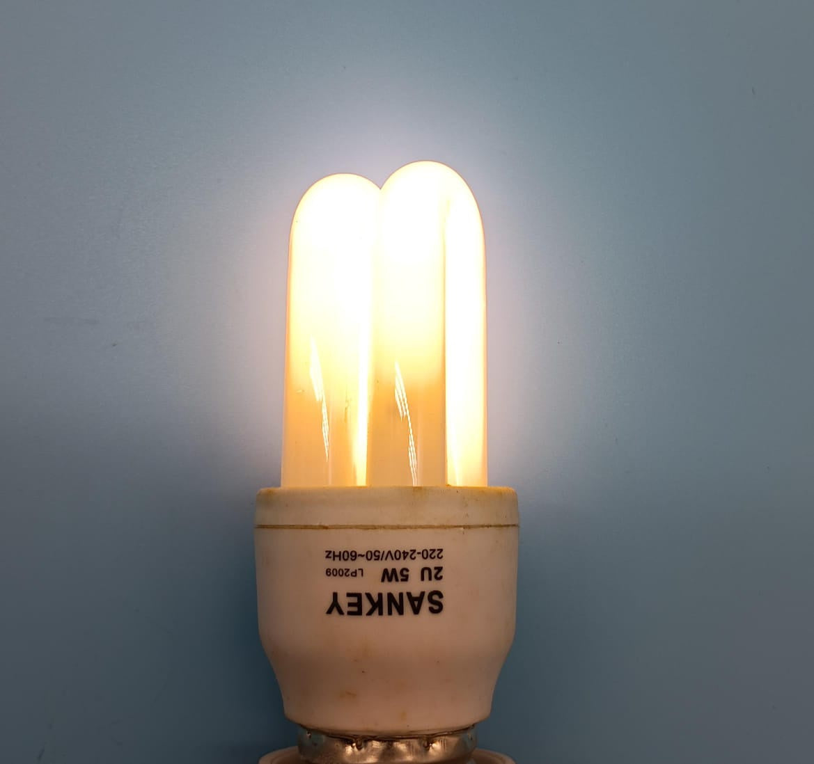 SANKEY Bulb Energy 220V 5W 2U White / Warm White