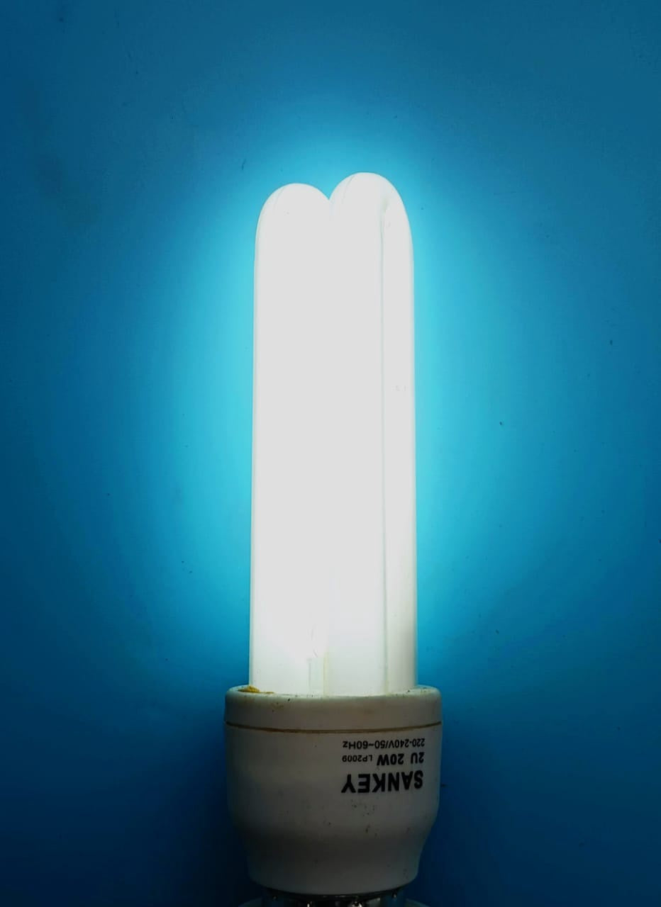 SANKEY Bulb Energy 220V 20W 2U Ch