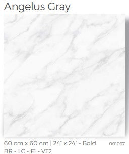 Tile Ceramic 24X24 (60X60CM) Angelus Gray