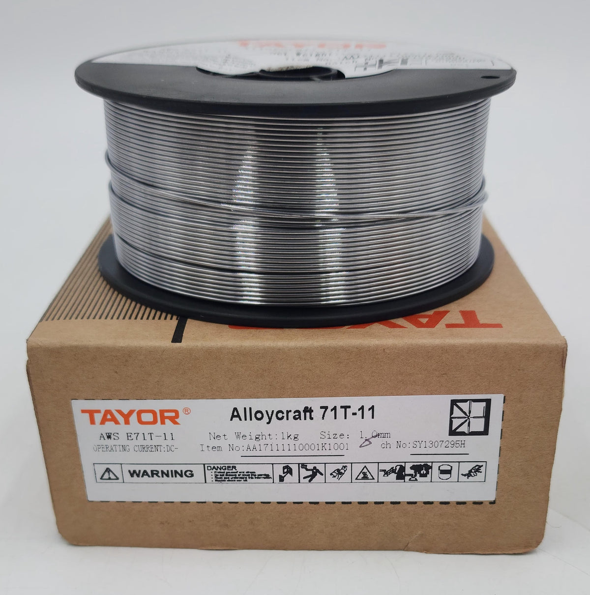 TAYOR Welding FLUX-CORED Wire 1.0MM 1KG Alloycraft 71T-11 Silver AA17111110001K1001