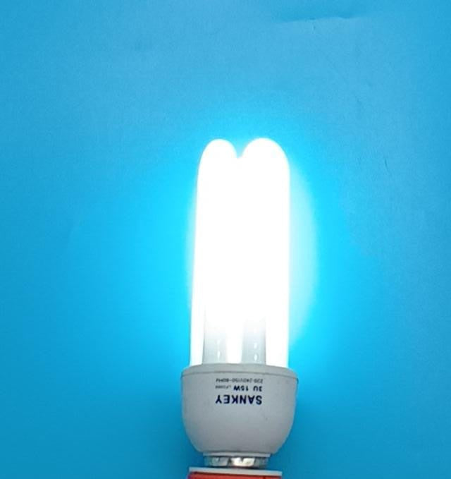 SANKEY Bulb Energy 220V 15W 3U White Ch
