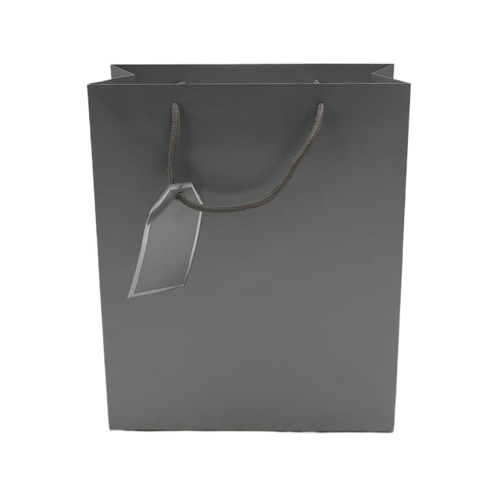 Gift Bag M135 Solid Colors 10" X 12" X 4" Glossy