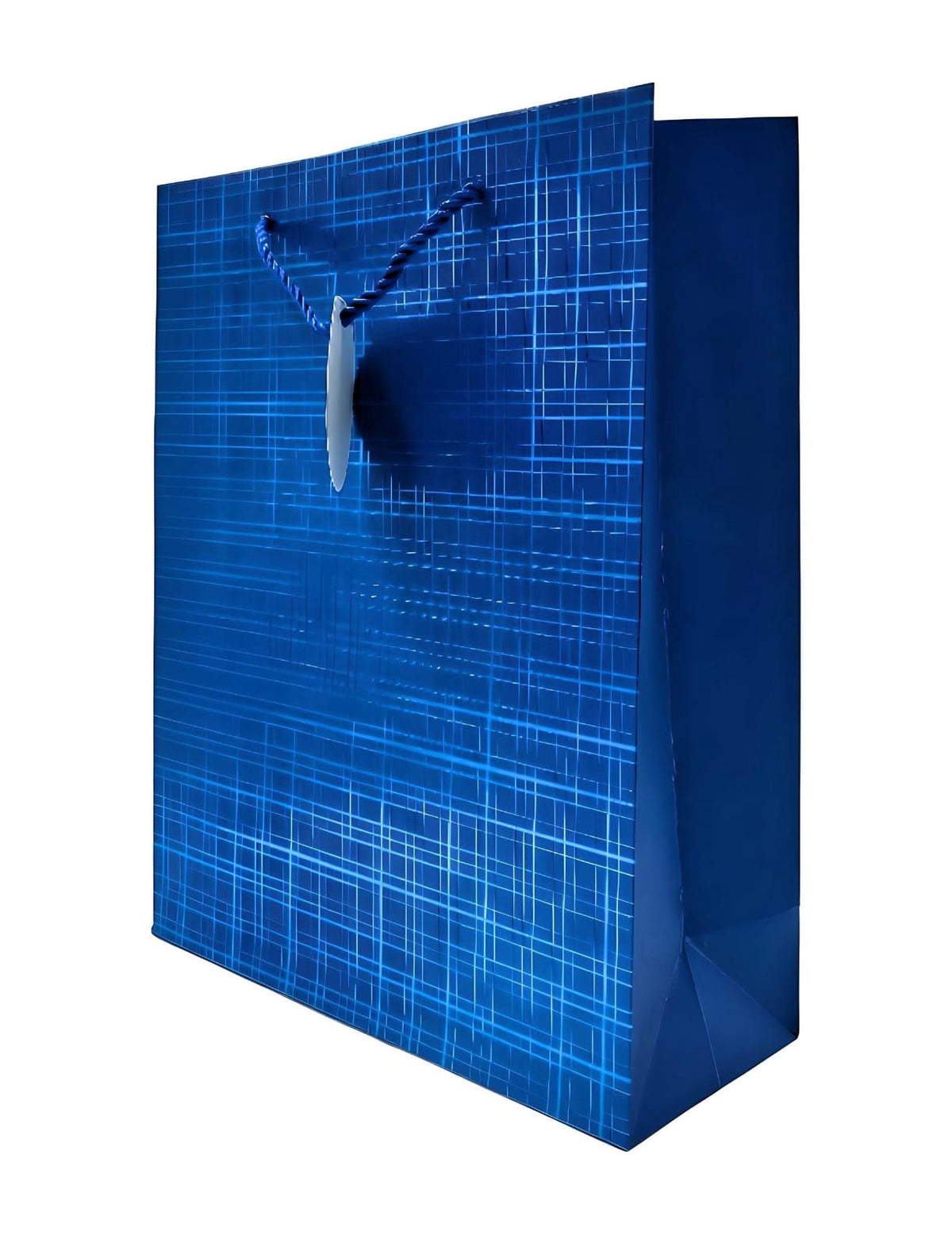 Gift Bag RC-837M-3 Colors 12.5" X 10" X 4"