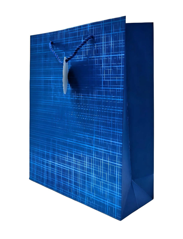 Gift Bag RC-837M-3 Colors 12.5" X 10" X 4"