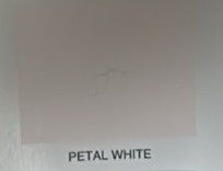 SISSONS Paint Super Matt Petal White Gal