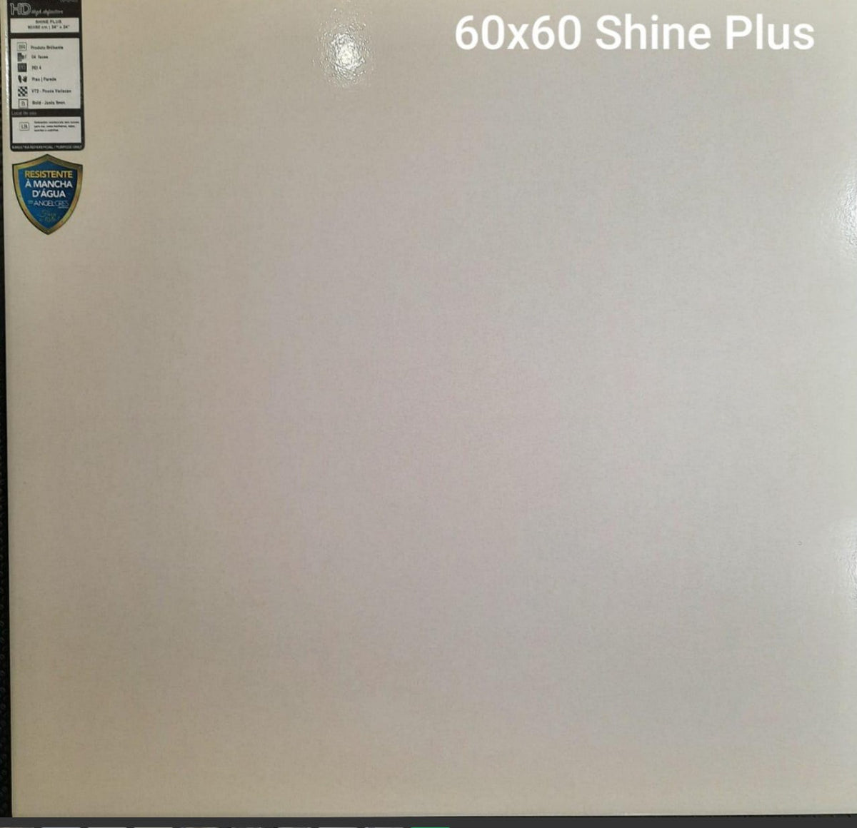 Tile Ceramic 24X24 (60X60CM) Shine Plus