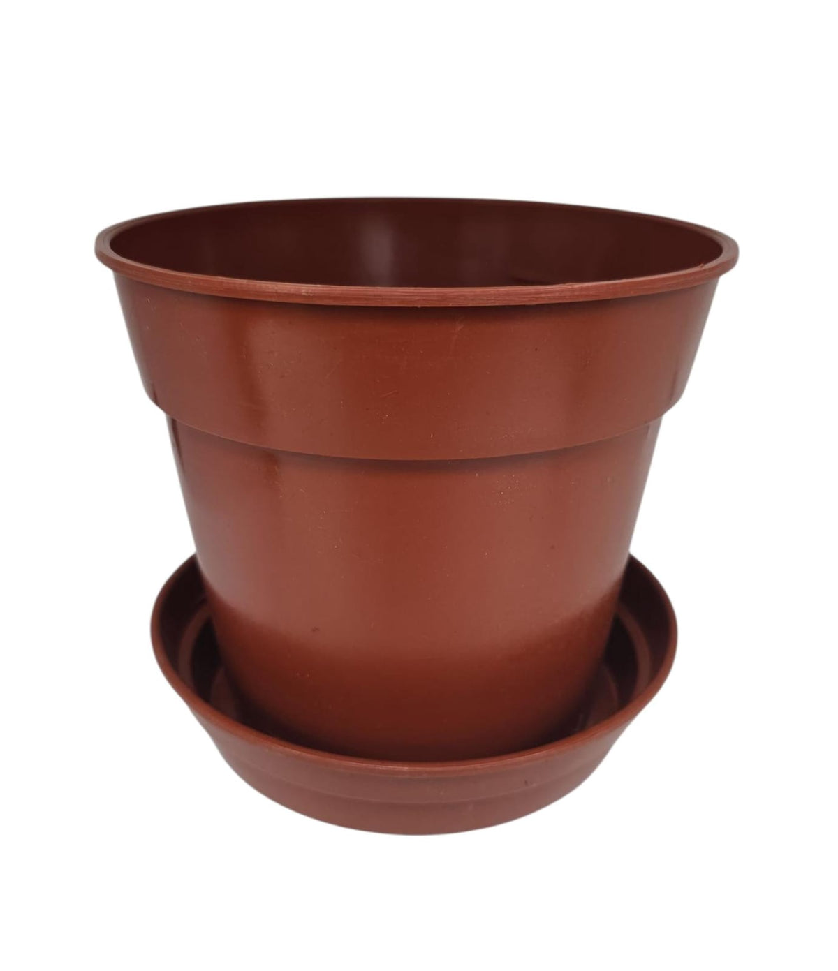 OMNI Plant Pot 6" with Bottom