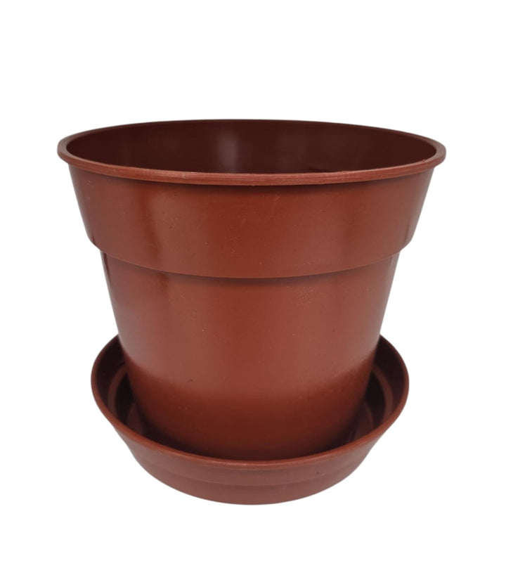 OMNI Plant Pot 6" with Bottom