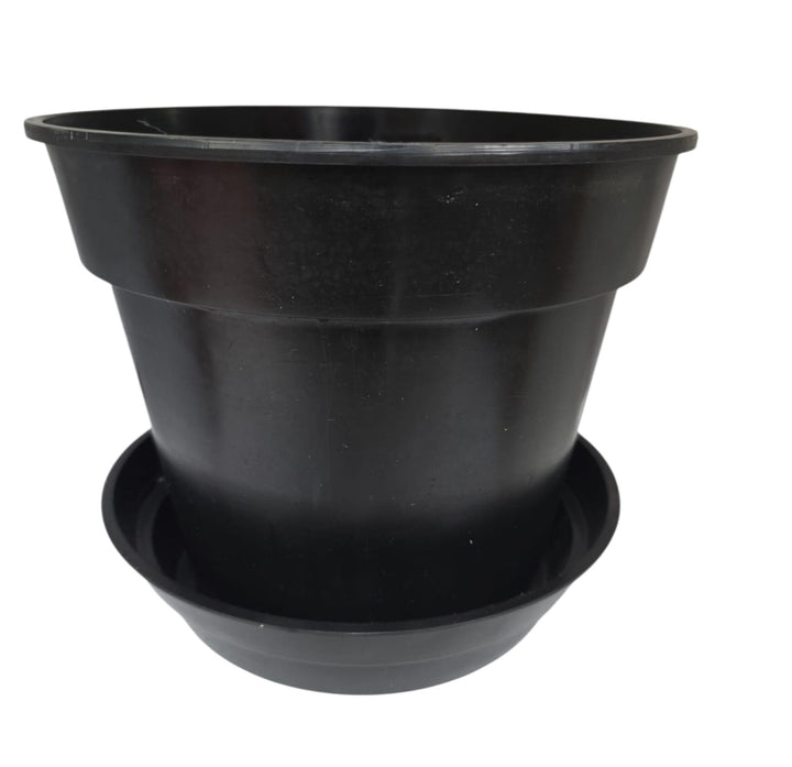 OMNI Plant Pot 9" with Bottom