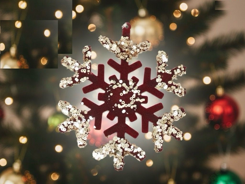 Christmas Decorations Snowflake WH252402 12CM