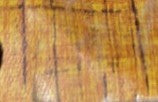 Vinyl (Vinolay) Flooring YR2206-1502 1.83MX27.5M XH14209 Sold Per Roll