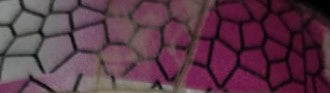 Vinyl (Vinolay) Flooring YR2206-1502 1.83MX27.5M XH17205 Sold Per Roll