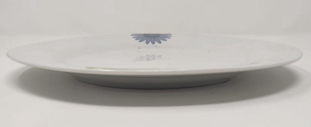 Plate Ceramic PLA-61 10.5" X 1"