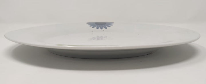 Plate Ceramic PLA-61 10.5" X 1"