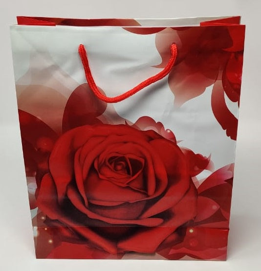 Gift Bag JA19-116 26X32X10CM