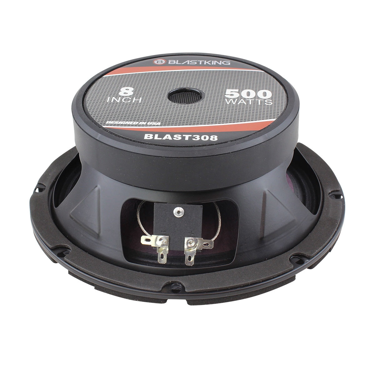 BLASTKING Speaker 8" I75-BLAST308