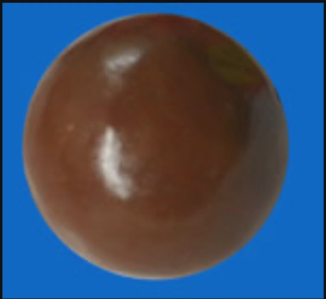 CHARLES Chocolate Bobbie Chocolatey Covered Peanut Single