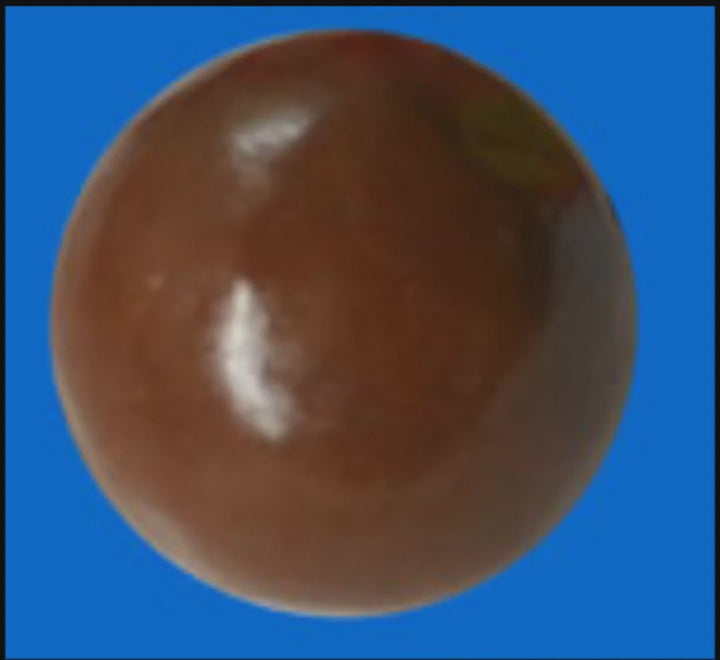 CHARLES Chocolate Bobbie Chocolatey Covered Peanut Single